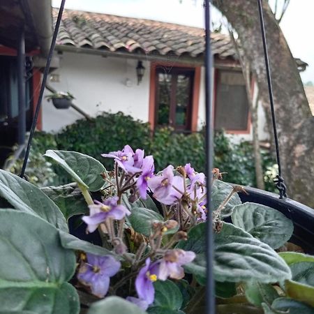 Hotel Boutique Casabella Coatepec  Eksteriør billede